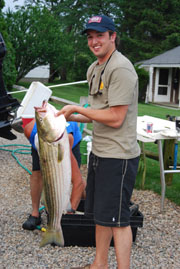 Several Striped Bass Keepers on Reel Deal