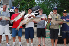 Several Striped Bass Keepers on Reel Deal