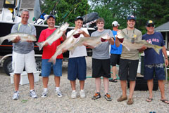 Several Striped Bass Keepers on Reel Deal
