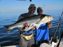 Striped Bass Fishing Charter on Reel Deal