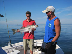 Striped Bass Fishing Charter on Reel Deal
