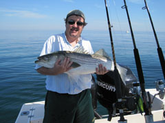 Striped Bass Fishing Charter on Reel Deal
