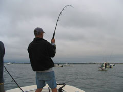 Striped Bass on Cape Cod Fishing Charter