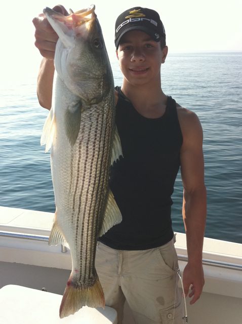 Large Striped Bass on Reel Deal - July 6, 2010
