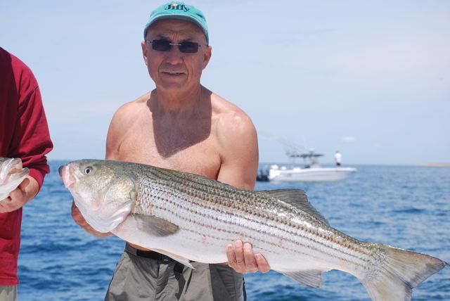 Striped Bass Fishing Stays Strong aboard Reel Deal - June 9, 2010