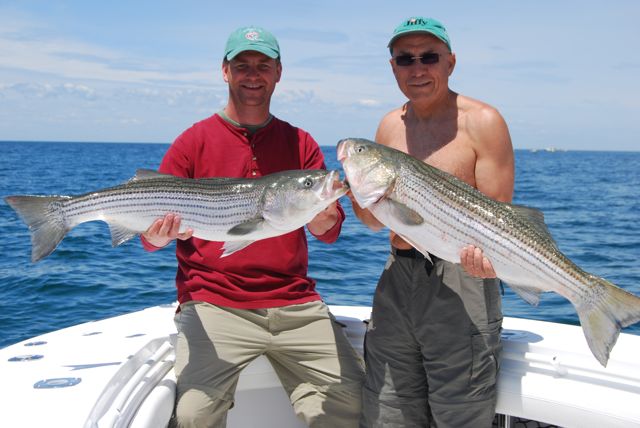 Striped Bass Fishing Stays Strong aboard Reel Deal - June 9, 2010