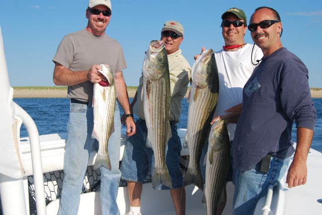 Cool & Dry Air Awakens the Stripers - July 30, 2010