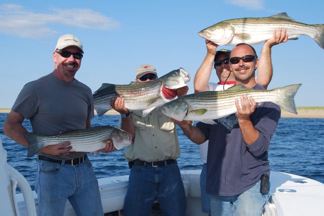 Cool & Dry Air Awakens the Stripers - July 30, 2010