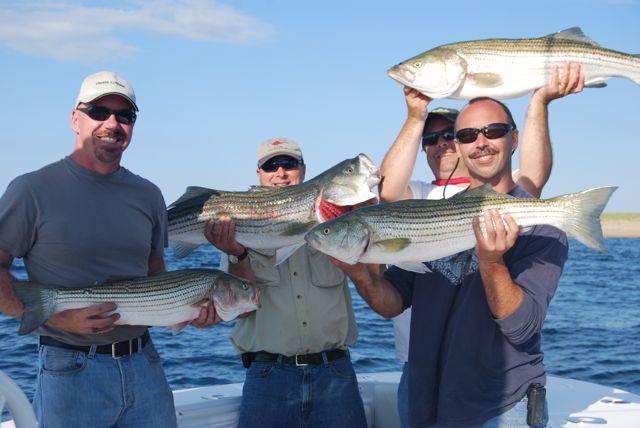 Cool & Dry Air Awakens the Stripers - July 30, 2010