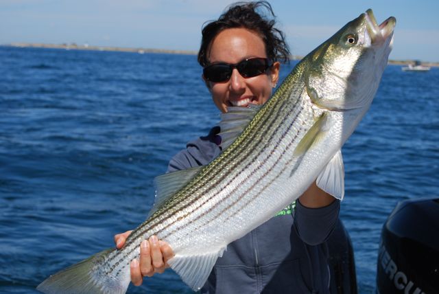 Excellent Labor Day Striped Bass Fishing! - September 6, 2010