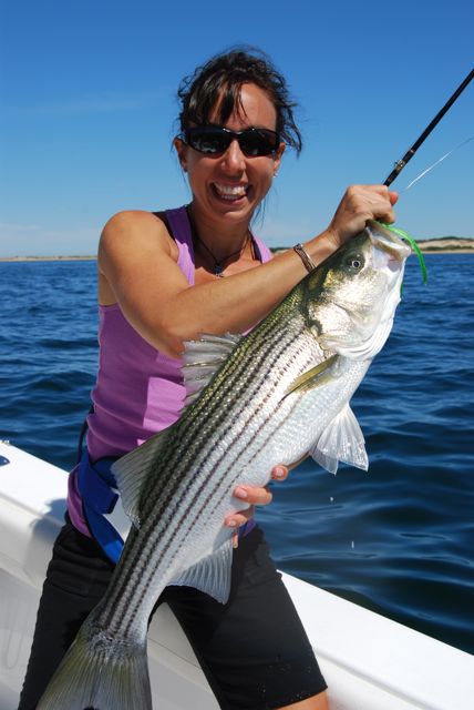 Excellent Labor Day Striped Bass Fishing! - September 6, 2010