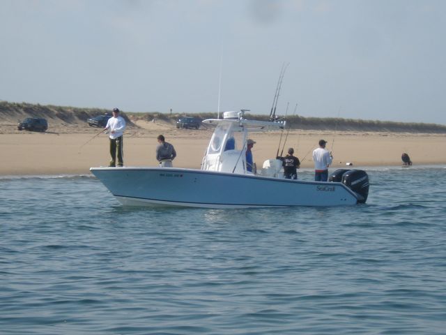 June Striped Bass Fishing