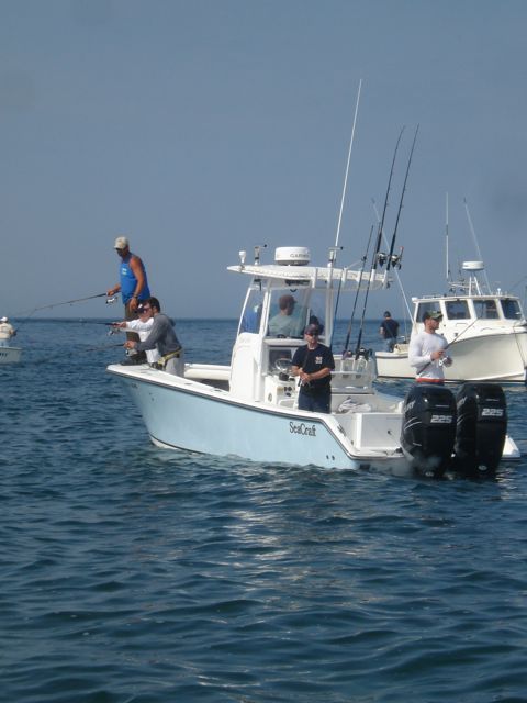 June Striped Bass Fishing