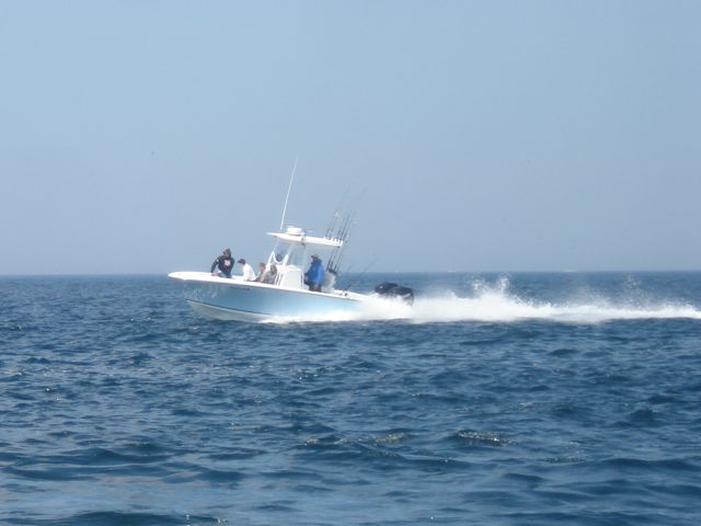 June Striped Bass Fishing