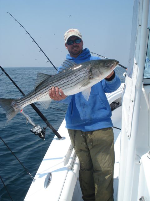 June Striped Bass Fishing