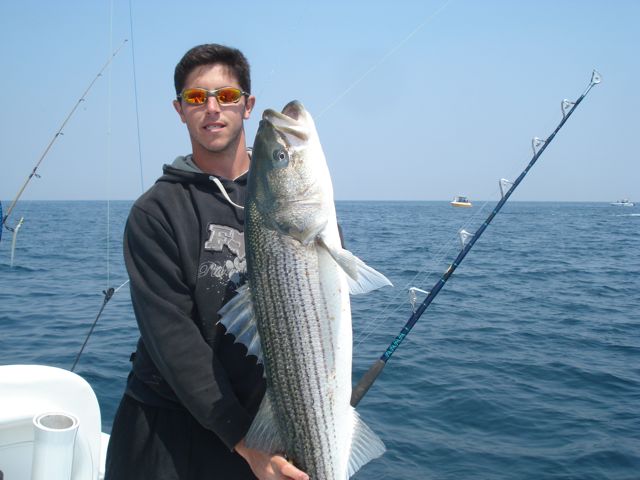 June Striped Bass Fishing
