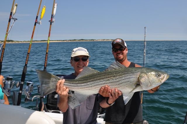 25lb Striped Bass on Reel Deal II - August 2, 2010