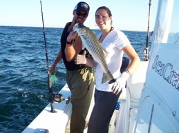 Light Tackle Striped Bass Fishing with Capt Bobby Rice