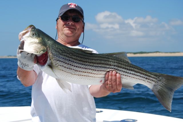 Outer Cape Cod Striped Bass Fishing - July 8, 2010