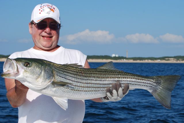 Outer Cape Cod Striped Bass Fishing - July 8, 2010