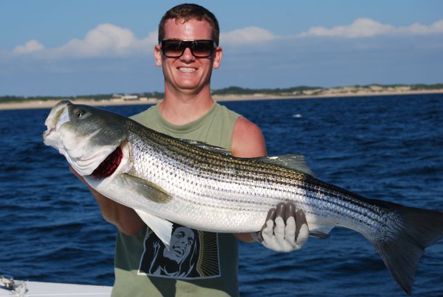 Outer Cape Cod Striped Bass Fishing - July 8, 2010