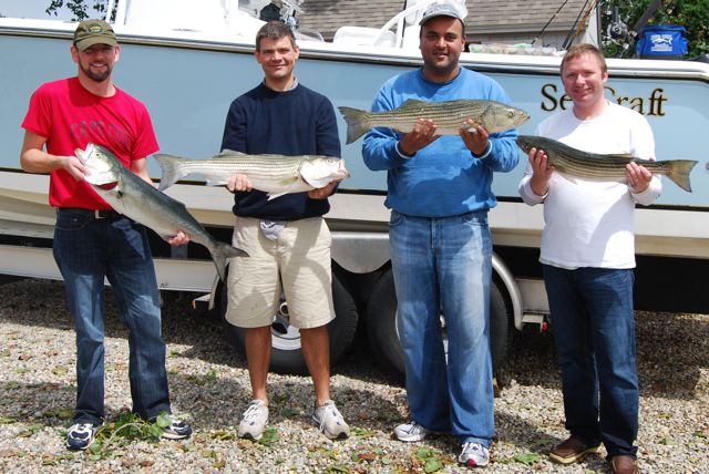 Striped Bass Fishing After the Storm - August 25, 2010