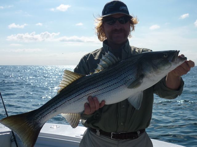 Big Striped Bass on Combination Fishing Trip - August 1, 2010