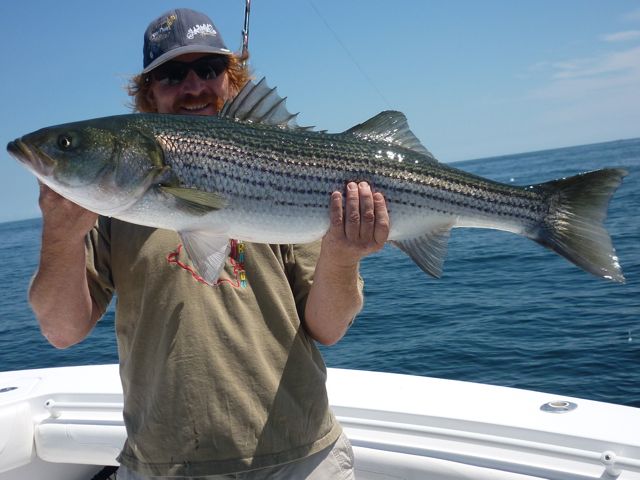 Big Striped Bass on Combination Fishing Trip - August 1, 2010