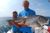 Bass Brothers! - August 19, 2011