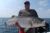 Mid-40s inch Striped Bass - August 19, 2011