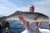Lunker Striped Bass! - July 25, 2011