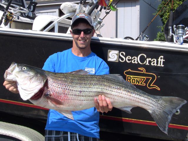 Captain Chris Hooks into Big Stripers - July 26, 2011