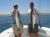 Striped Bass Fishing on Reel Deal II - June 27, 2011