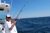 Light Tackle Stripers! - July 17, 2011