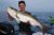 Still Getting Keeper Stripers! - June 28, 2011