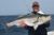 Superb Striped Bass Fishing - July 18, 2011