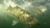 Underwater View of Bass Blitz - June 6, 2011