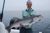 Topwater Cape Cod Striped Bass Fishing - June 25, 2011