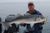 Striped Bass on Gibbs Lures - June 25, 2011