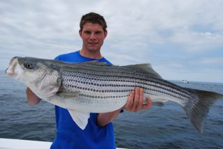Lots of Girth on this Striper! - June 11, 2012