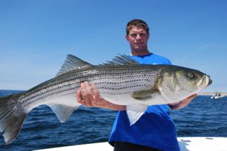 44-inch Striped Bass - June 11, 2012