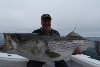 Cape Cod Striped Bass Fishing Charter - July 28, 2012