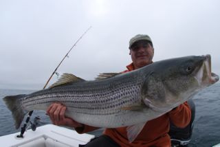 Cape Cod Striped Bass Fishing Charter - July 28, 2012