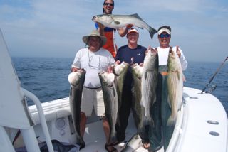 Awesome Striped Bass Fishing - August 11, 2012