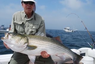 30+lb Striped Bass - August 5, 2012