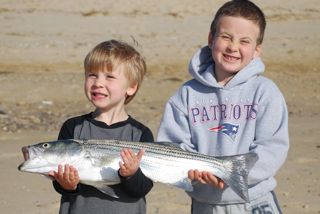 First Striped Bass Keeper Landed! - April 28, 2012