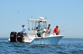 Light Tackle Striped Bass Fishing - May 31, 2012