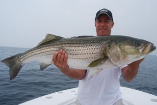 Light Tackle Striped Bass Fishing - August 18, 2012