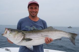 Light Tackle Striped Bass Fishing - August 18, 2012