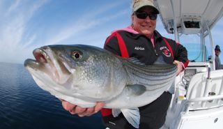 The Stripers are Here! - May 18, 2012